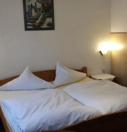 Hotel-restaurant Durst 酒店 弗雷兴