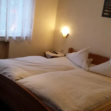 Hotel-restaurant Durst Hotell *