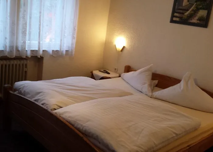 Hotel-restaurant Durst Hotel *